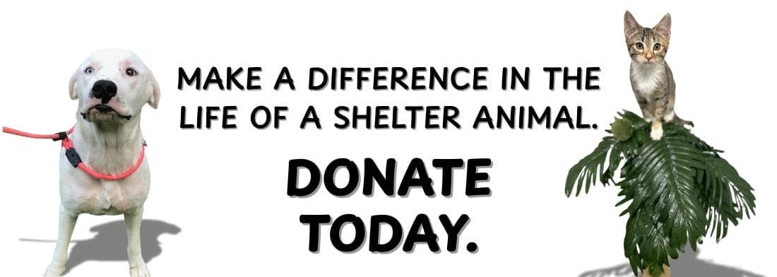 DONATE